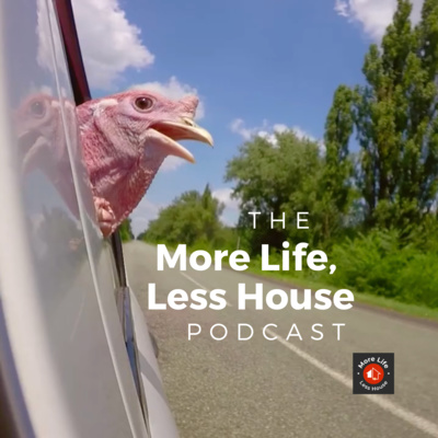 Happy Thanksgiving! 🦃