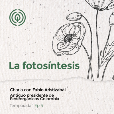 La Fotosíntesis 