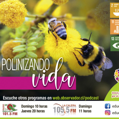 Educambientalfm