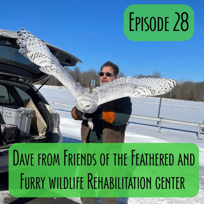 Episode 28 - Dave from Friends of the Feathered and Furry