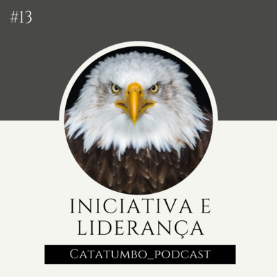 #13 Iniciativa e liderança