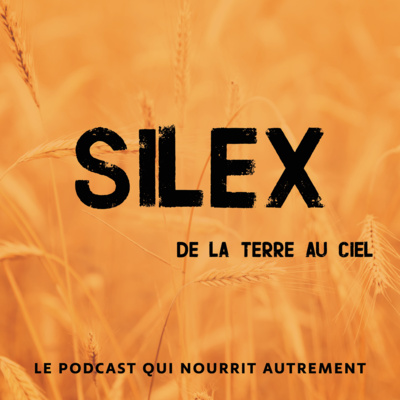 Comme un Lundi
