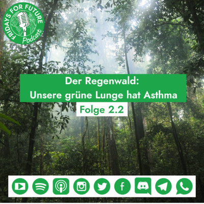 2.2 | Der Regenwald: Unsere grüne Lunge hat Asthma