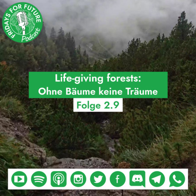 2.9 | Live Giving Forests: Ohne Bäume keine Träume #Week4Climate