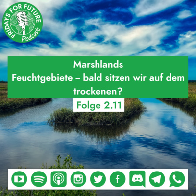 2.11 | Moore: Feuchtgebiete - bald sitzen wir auf dem Trockenen? #WeekForClimate