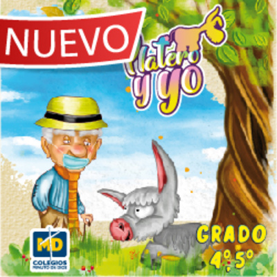 DESDE LA VENTANAMIRADAS DE UNA PANDEMIA