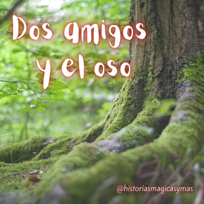 Historias Mágicas y Más