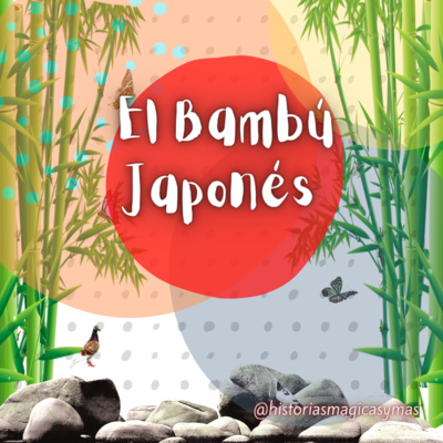 Historias Mágicas y Más
