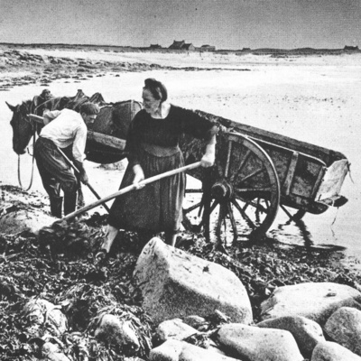 Médiathèque de Plozévet