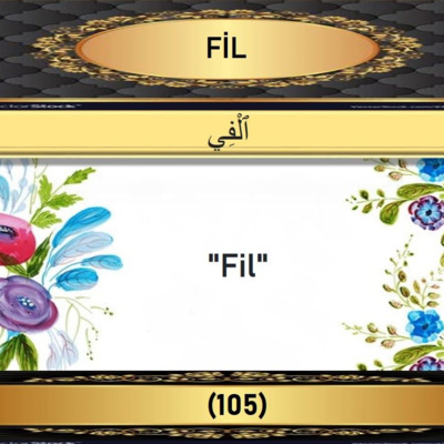 105. Fil Suresi - Yaşar Nuri Öztürk Sesi ve Meali ile (2001) episode artwork