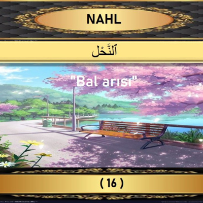 16. Nahl Suresi - Yaşar Nuri Öztürk Sesi ve Meali ile (2001) episode artwork