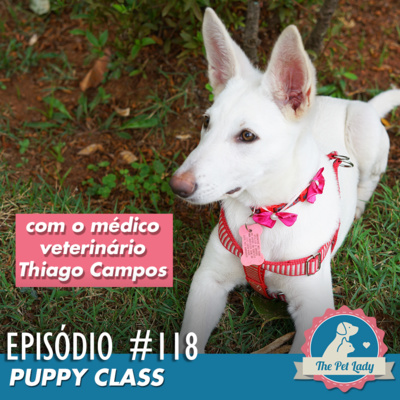 118 - Puppy Class - Com o Médico Veterinário Thiago Campos