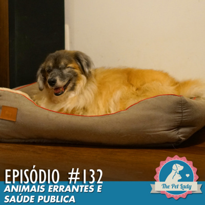 132 - Animais Errantes e Saúde Pública