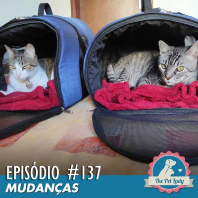 137 - Mudanças