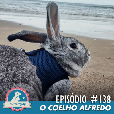 138 - O Coelho Alfredo