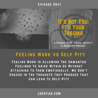 EP 0041 - Feeling Work vs Self Pity