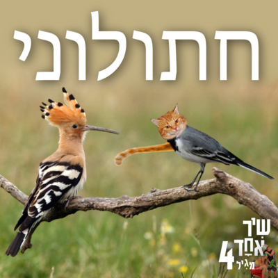 פרק 4 - חתולוני