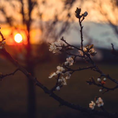 Articles by Supply of Grace