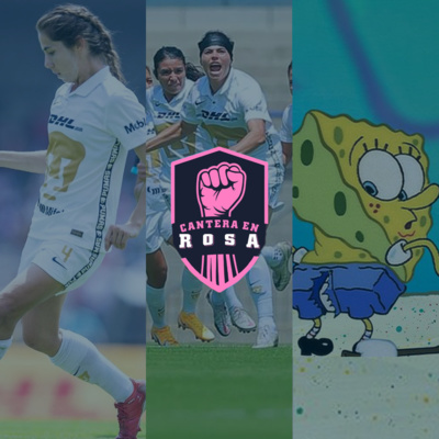 Cantera en Rosa