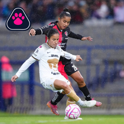 Cantera en Rosa