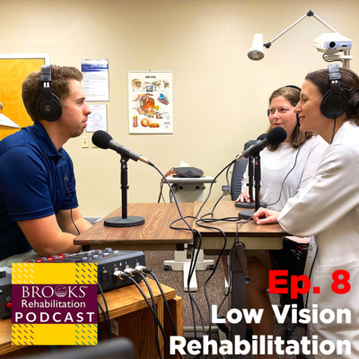 8: Low Vision Rehabilitation