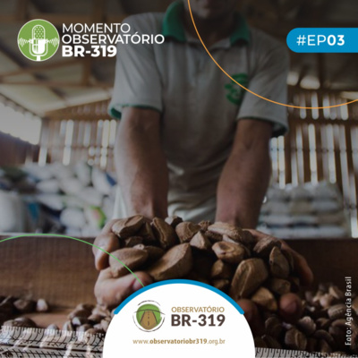 3. Caminhos da bioeconomia e a BR-319 