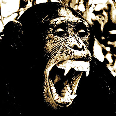 Our Least Favorite Animal