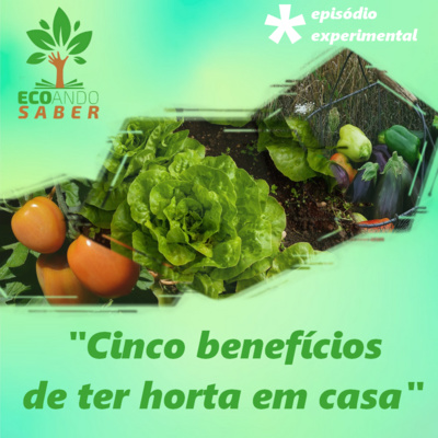 Ecoando Saber *: Horta em Casa