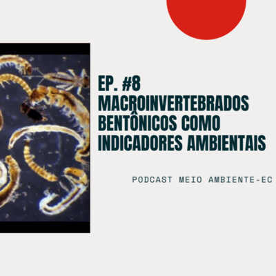 Meio Ambiente-EC
