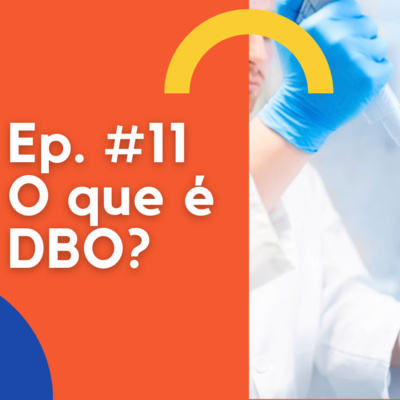 Meio Ambiente-EC
