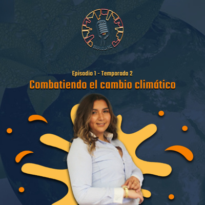 Shaping La Paz