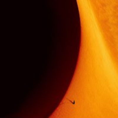 The Guy\'s Music Cave