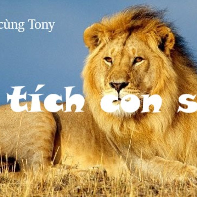 NGHE TRUYỆN CÙNG TONY