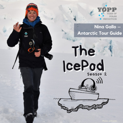 [Music Podcast] The Drake Lake & the Drake Shake – The IcePod with Nina Gallo