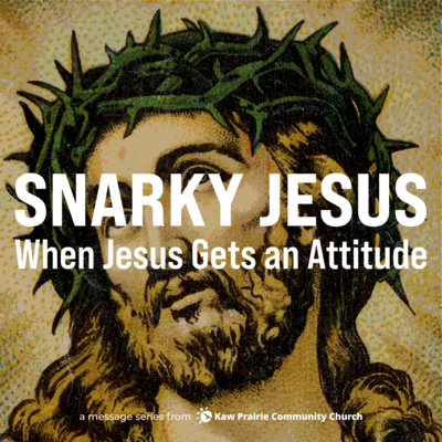 Snarky Jesus | Snarky Jesus calls them stupid.
