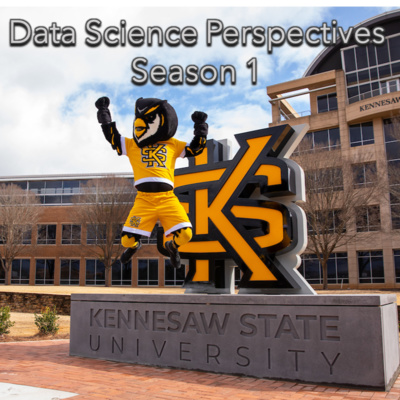 Data Science Perspectives