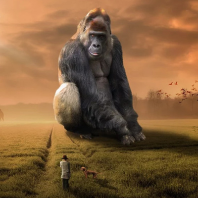 2. Drømme – det indre dyrs overtag