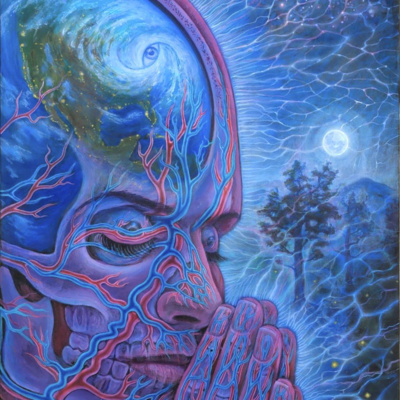 9. Bevidstheden i en kvanteverden