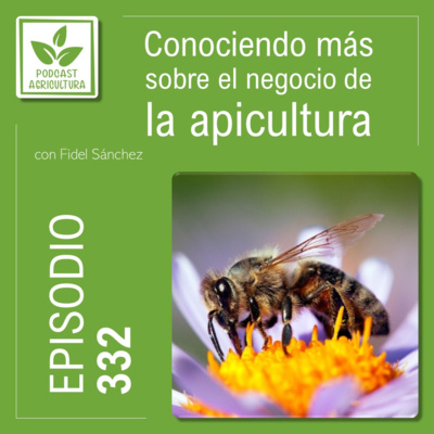 332 Conociendo más sobre el negocio de la apicultura con Fidel Sánchez