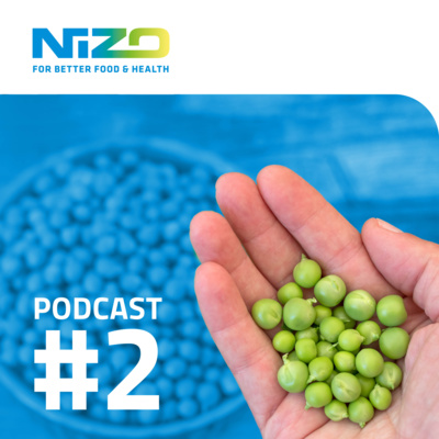 Improving the sensory experiences of plant proteins episode artwork