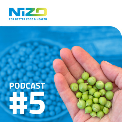 Using fermentation to build flavour, health benefits and shelf-life into dairy and plant-based foods