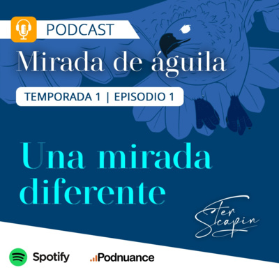 MIRADA DE ÁGUILA
