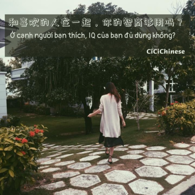 CiCi Chinese