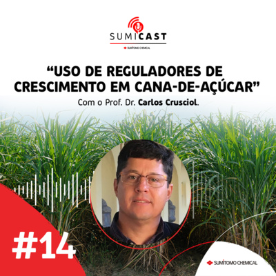 #14 - Uso de reguladores de crescimento em cana-de-açúcar