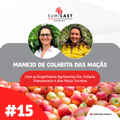 #15 - Manejo de colheita das maçãs
