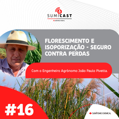 #16 - Florescimento e isoporização