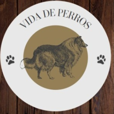 Vida de Perros