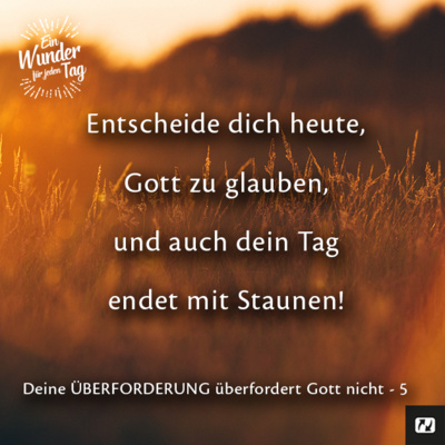 Ein Wunder für jeden Tag