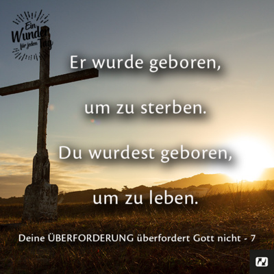 Ein Wunder für jeden Tag