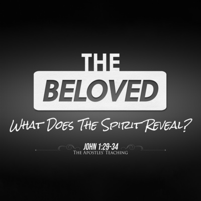 John 1:29-34 - #10 What Does The Spirit Reveal?